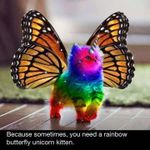 Rainbow unicorn butterfly kitten! ? Rainbow unicorn butterfly kitten! ?