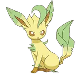 Leafeon Leafeon