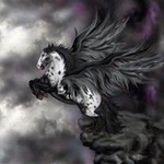 Pegasus (Whoops ! in the air) Pegasus (Whoops ! in the air)