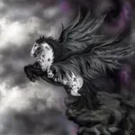 Pegasus (Whoops ! in the air) Pegasus (Whoops ! in the air)