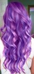 Purple Purple