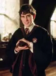 Neville Longbottom Neville Longbottom