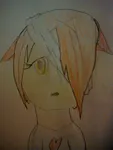 Human form