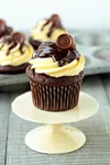 Cupcake Cupcake