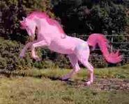 pinkie pinkie