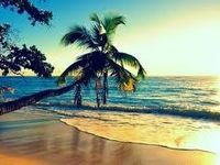 Summer Summer