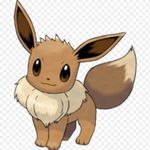Eevee Eevee