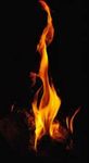 Fire Fire