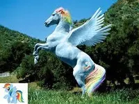 rainbow dash real horse