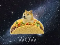 Doge Doge