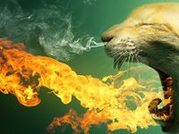 Flying Fire breathing Fluffy Harmless Kitten Flying Fire breathing Fluffy Harmless Kitten