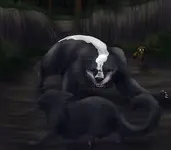 Cinderpelt