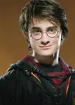 Harry Potter (Harry Potter) Harry Potter (Harry Potter)