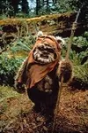 Wicket Wicket