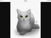 Dovewing Dovewing