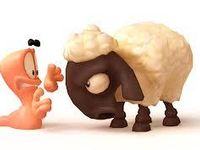 Sheep Sheep