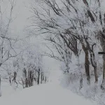 winter winter