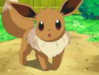 Eevee Eevee