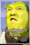 Shrek Trump