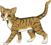 Leafpool