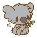 Koala bear are sooo cute when they yawn..awww.. Koala bear are sooo cute when they yawn..awww..