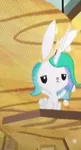 Princess Bunny Celistia Princess Bunny Celistia