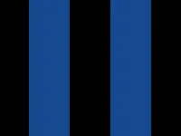 blue and black