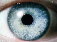 Light blue eyes Light blue eyes