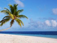 On a perfect day, I would go on a holiday. On a perfect day, I would go on a holiday.