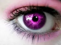 Violet Violet