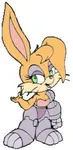 bunny