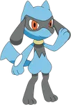 Riolu Riolu