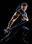 Hawk Eye/ Clint Hawk Eye/ Clint