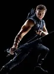 Hawk Eye/ Clint Hawk Eye/ Clint