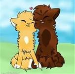 squirellflight and brambleclaw/star squirellflight and brambleclaw/star
