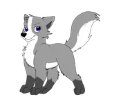 Puppy