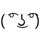 the lenny face