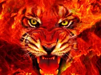 Fiery Tiger Fiery Tiger