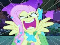 fluttershy pony fluttershy pony