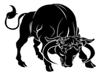 Taurus Taurus