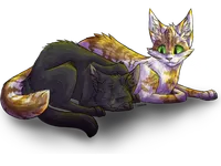 Hollyleaf and Fallen Leaves