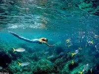 Mermaid for girls / Merman for boys Mermaid for girls / Merman for boys