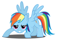 rainbow dash rainbow dash