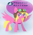 Pegasus Airline(Pegassus Cherry Berry)