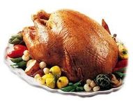 Turkey Turkey
