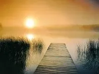 Morning Morning