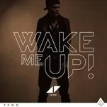 Wake Me Up By Aloe Blacc