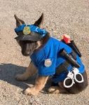 Forest in a police suit Forest in a police suit