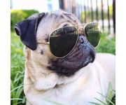 @Skyper_Pug @Skyper_Pug