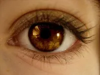 Brown Brown